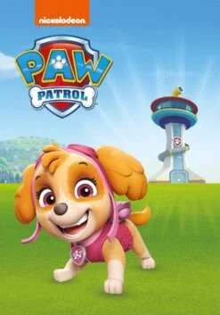 PAW Patrol: Skye Tonie -Tonies PawPatrolSkyeCard